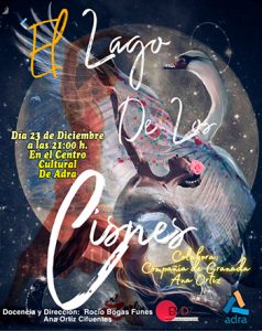 Flamenco ‘El lago de los cisnes’
