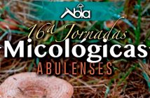 XVI Jornadas Micológicas Abulenses