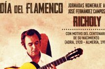 Día del Flamenco en el Museo de la Guitarra