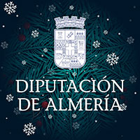 Diputación de Almería Navidad