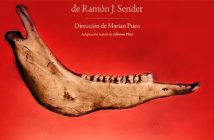 REQUIEM POR UN CAMPESINO