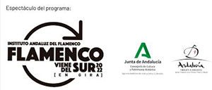Flamenco Viene del Sur 2022