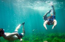 buceo en Almería