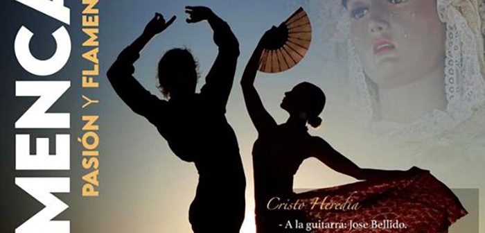 Pasión y Flamenco baile