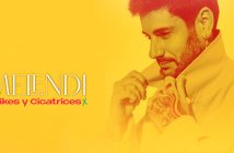 Melendi likes y cicatrices