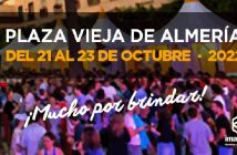 Festival de la Cerveza Artesana