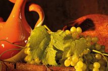 XXVII CATA DE VINOS ARTESANOS