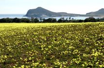 Cabo de Gata primavera