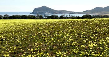 Cabo de Gata primavera