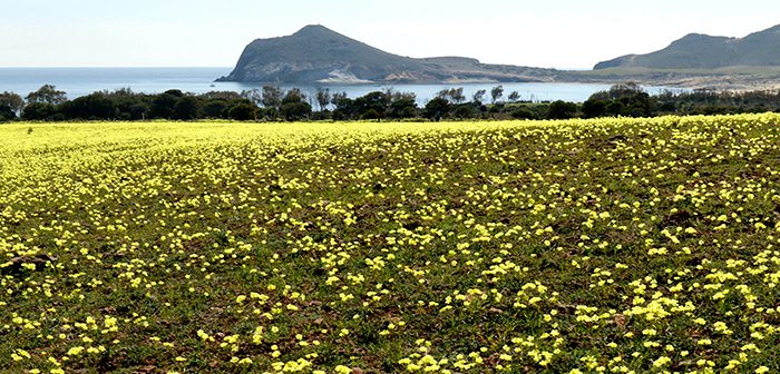 Cabo de Gata primavera