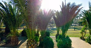 EL PALMERAL BALERMA