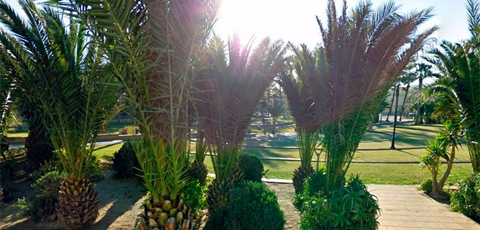 EL PALMERAL BALERMA