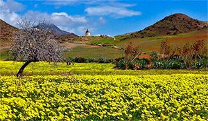 Ruta en 4x4 Cabo de Gata desde Carboneras