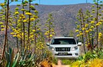 coche en Cabo de Gata