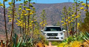 coche en Cabo de Gata