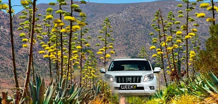 coche en Cabo de Gata