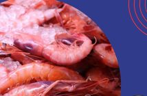 FESTIVAL GASTRONÓMICO DE LA GAMBA