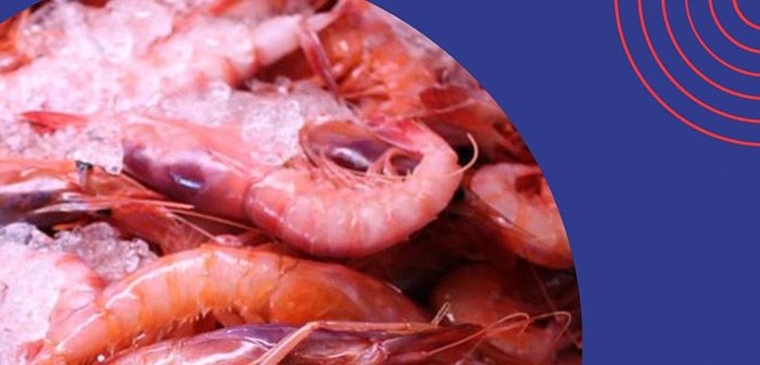FESTIVAL GASTRONÓMICO DE LA GAMBA