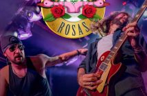 GANSOS ROSAS