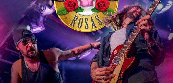 GANSOS ROSAS