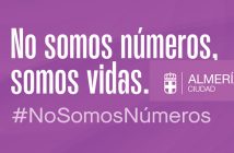 DÍA INTERNACIONAL DE LA ELIMINACIÓN DE LA VIOLENCIA