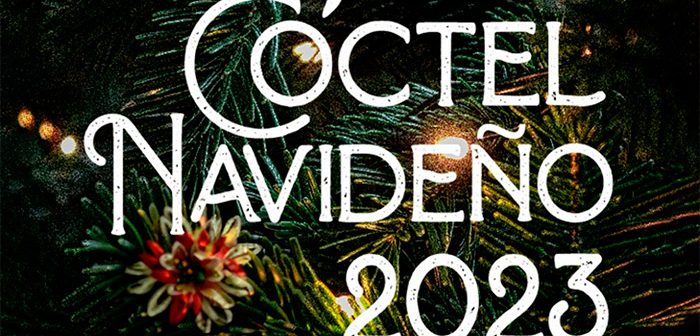 CÓCTEL NAVIDEÑO Diputación de Almería