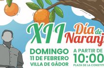 XII DIA DE LA NARANJA