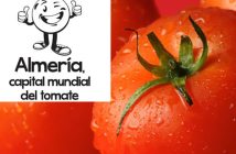 Día del Tomate en Almería