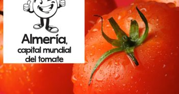 Día del Tomate en Almería