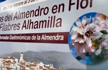 Rutas del Almendro en Flor 2024