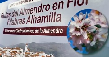 Rutas del Almendro en Flor 2024