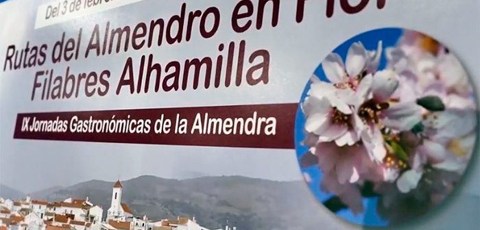 Rutas del Almendro en Flor 2024