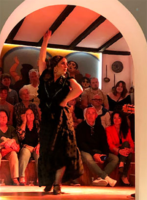 bailadora flamenco