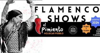 FLAMENCO SHOW