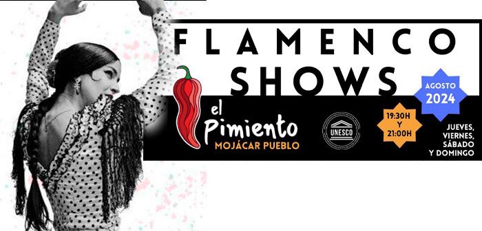 FLAMENCO SHOW