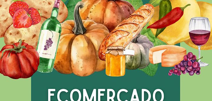 ECOMERCADO 2024