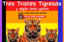 TRES TRISTES TIGRESAS Y ALGÚN LINDO GATITO