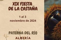 Fiesta de la castaña de Paterna