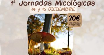 Jornadas Micológicas de Antas