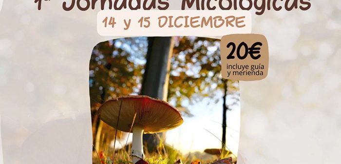 Jornadas Micológicas de Antas