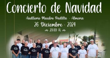 VIII FESTIVAL DE NAVIDAD GRUPO ALMENARA