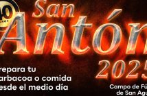 Hogueras de San Antón