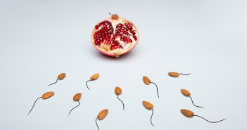 fruta