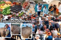 Feria del Ganado de Albox 2025