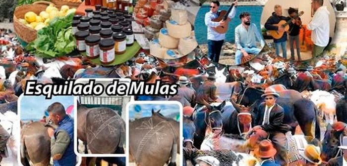 Feria del Ganado de Albox 2025