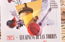 Festival Flamenco de los Hornos de Calcinación de Lucainena