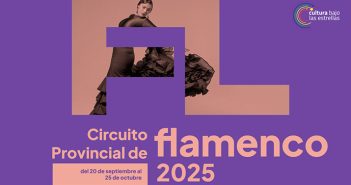 Circuito Provincial de Flamenco