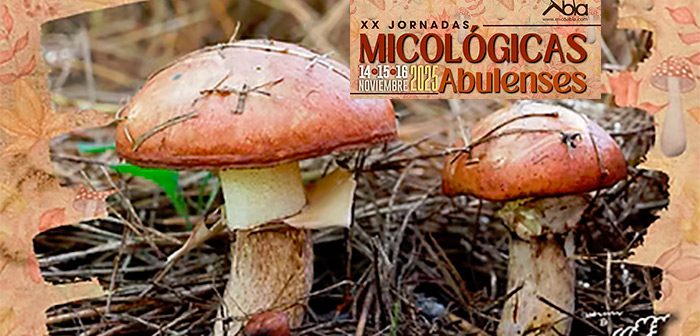 JORNADAS MICOLÓGICAS ABULENSES 2025
