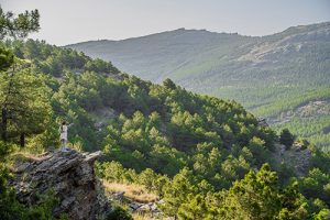 Sierra de Los Fialbres