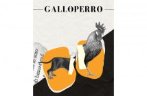 GALLOPERRO